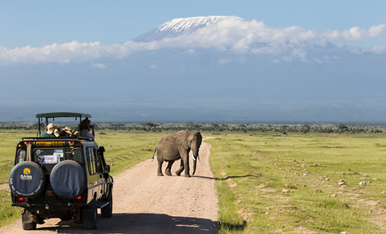 3-Day Amboseli Safari from Nairobi | Amboseli National Park 